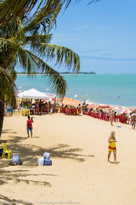 Imagem de um coqueiro e ao fundo a badalada Praia de Taperapuan.